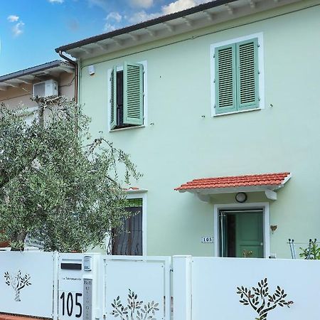 B&B Ulivo Gaio San Miniato Zewnętrze zdjęcie