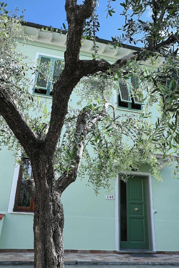 B&B Ulivo Gaio San Miniato Zewnętrze zdjęcie